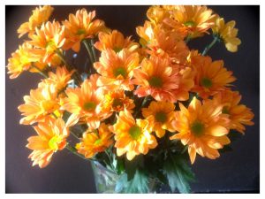 Flame- Coloured Flowers for only £2. Rye Market Flower Stall, Cattle Market Car Park, Thursdays only