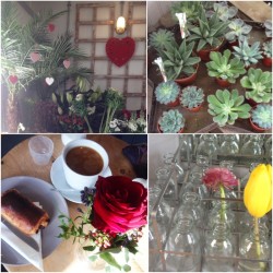 Coffee, roses, tulips in mini milk bottles and succulents in a star shape