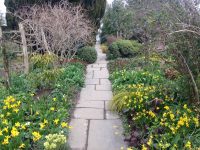 Great Dixter in the spring