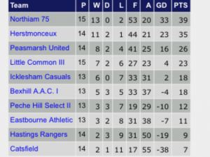Icklesham Casuals first team sit mid table 