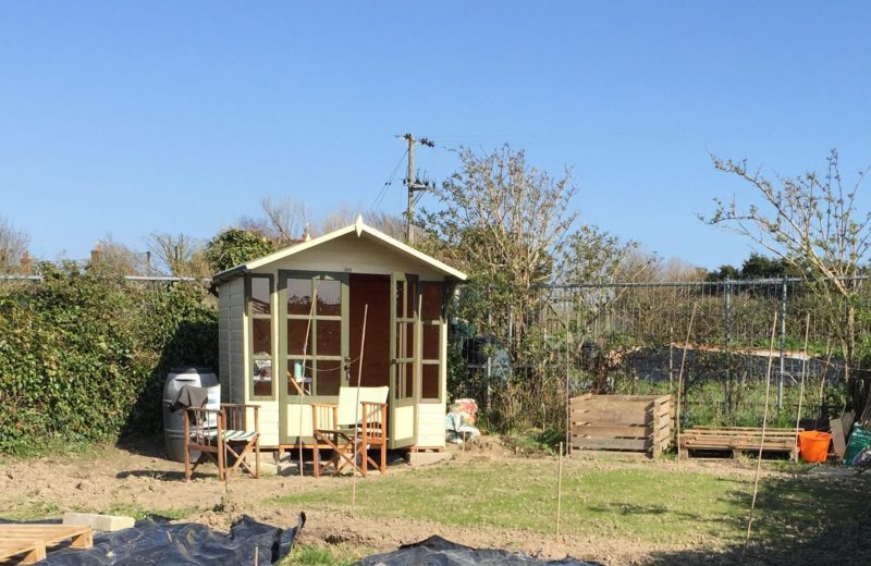 The finished shed - complete with grass
