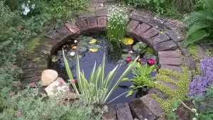 Open Gardens in Winchelsea