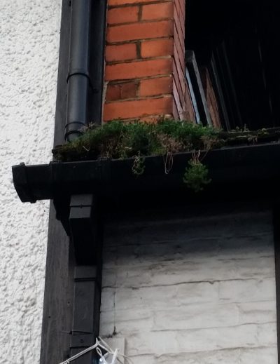 Hanging gardens of Rye - a blocked downpipe