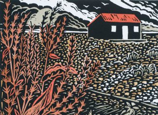 Soudain framed by success