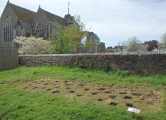 Crimson field of remembrance