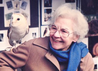 Obituary: Davina Artis Davina Artist