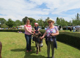 Sun comes out for hospital fete
