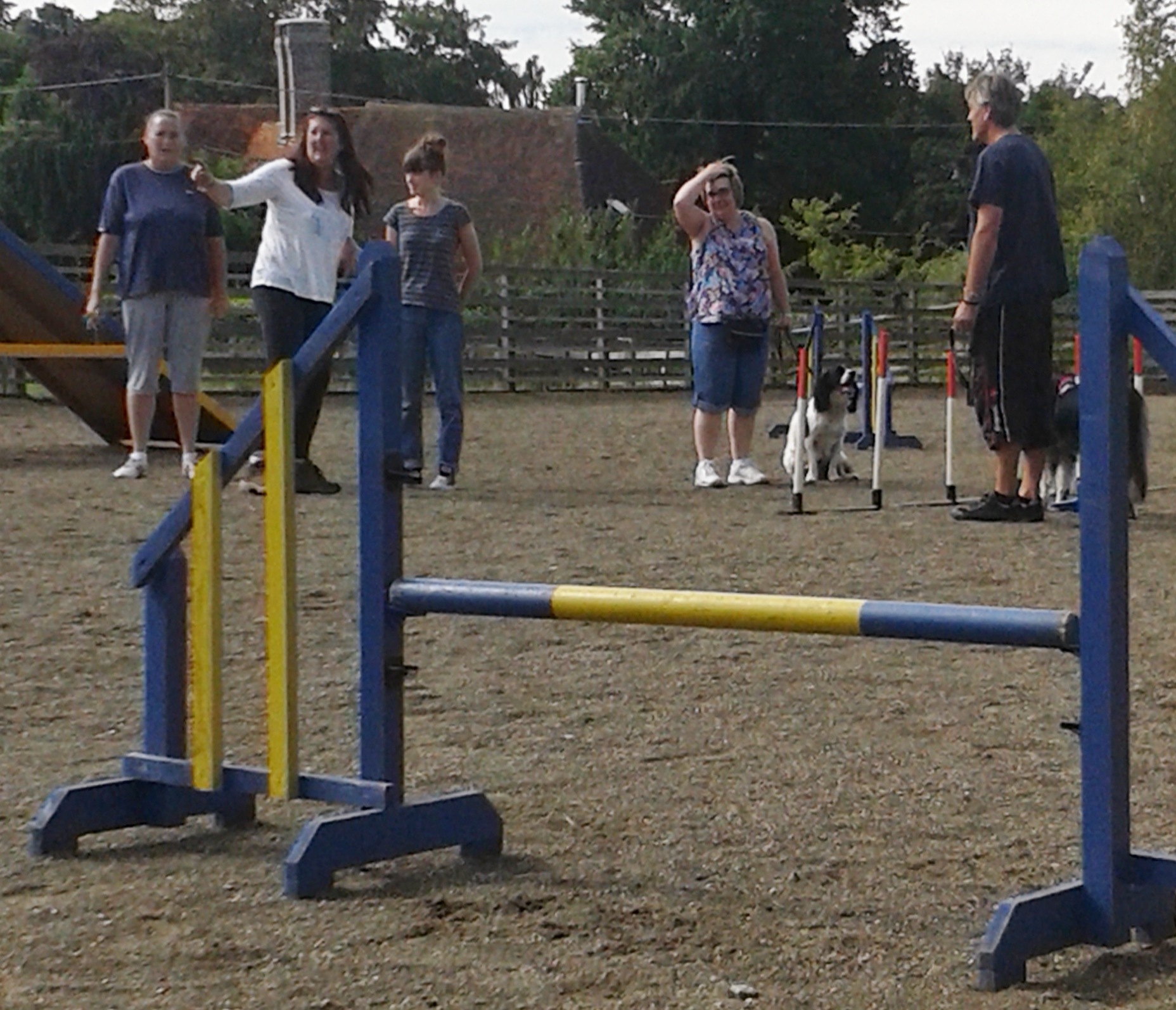 Agility for anybody, any dog Rye News