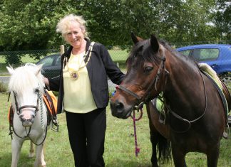 Fêteful day at Tilling Green