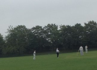 Duck after duck after duck