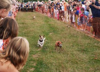 Ready, steady, go…to the Show