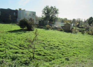 Garden for all takes shape