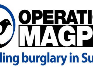 Burglars targeted