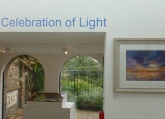 Local artists shine in superb show