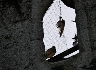 Landgate: action at last