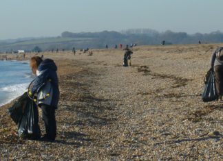 Beachcombers clean up