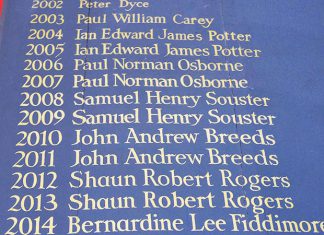 Town council far from toothless