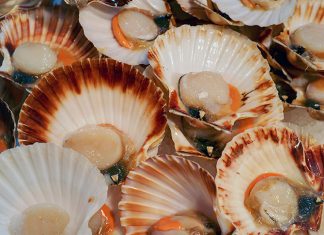 Scallop week starts here and now