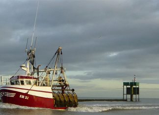 Foodie orgy over scallop menus