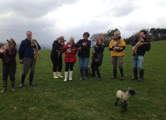 Learn to lamb locally