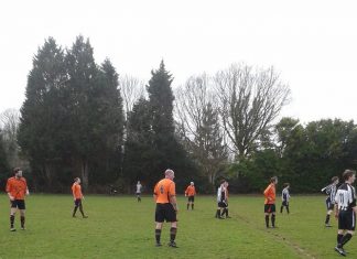 Two goalies grab a win for Iden