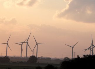 Romney Marsh goes ever greener