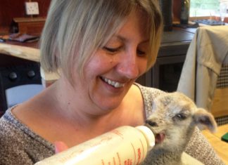 Charity farm’s first birthday