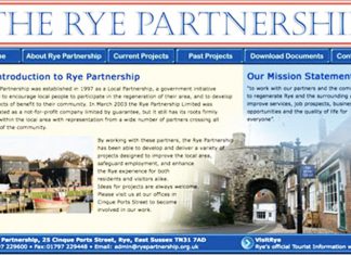 Challenging questions to directors