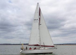 Winter cobwebs blown away