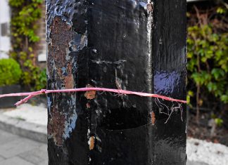 Charity posters torn down