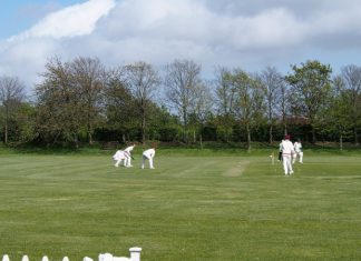Rye cricketers win opener
