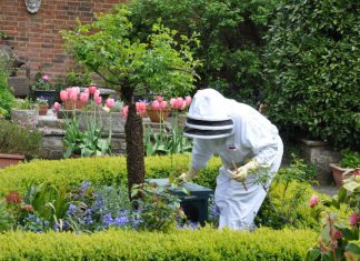 Queen visits Rye garden