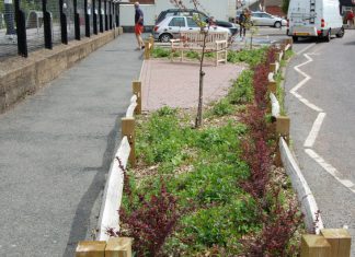 Pirate plants weeded out