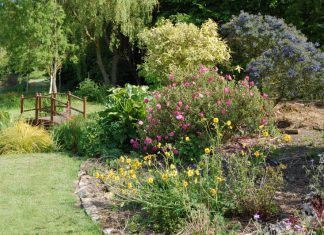 Garden Safari chases sunshine