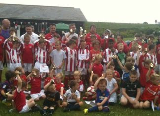 A great year for the beach boys