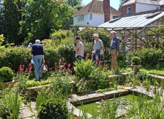 Sun and gardens attract crowds