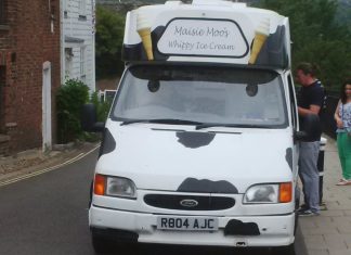 Naughty cow takes the cornet