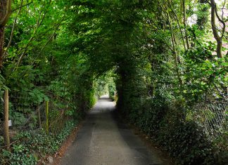 Planning rules a road to where?