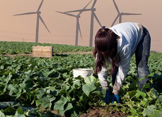 What a job: finding a ‘worker’