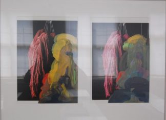 Nina Rodin exhibits double