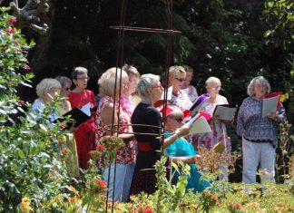 Sun shines for Music Well