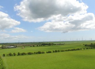 Dragons would reject this pitch