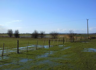 Fifth continent gets lottery help