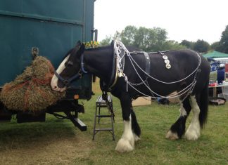 Show pulls in thousands