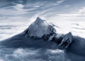 Let’s go to the movies!