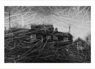 Local artist makes top images book