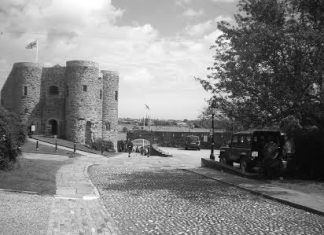 Drinking with Dolphins