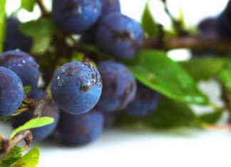 Time to gin up your pricking