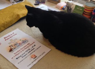 A special service – for me!