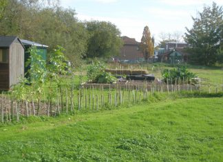 How does your garden grow?